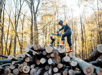 logger carrying chainsaw