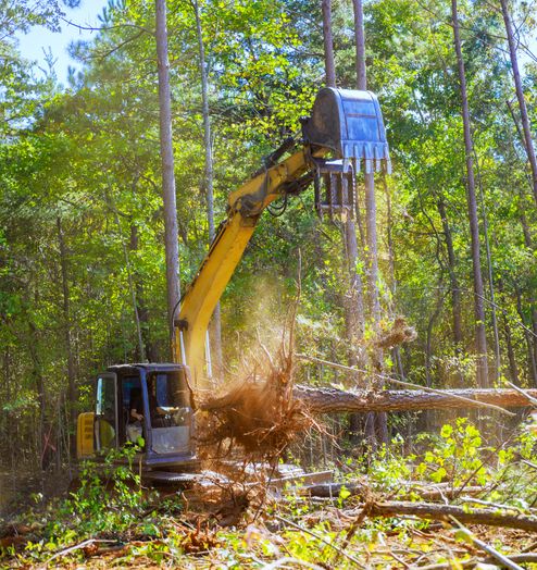 heavy machinery moving felled tree