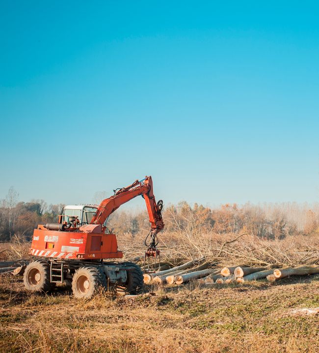 heavy machinery clearing land